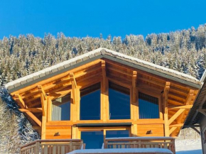 Chalet cosy pour 4 pers. à Ch��tel, proche télécabine et centre, cuisine équipée, terrasse, garage. - FR-1-676-169